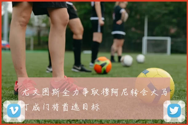 尤文图斯全力争取穆阿尼转会大马丁成门将首选目标